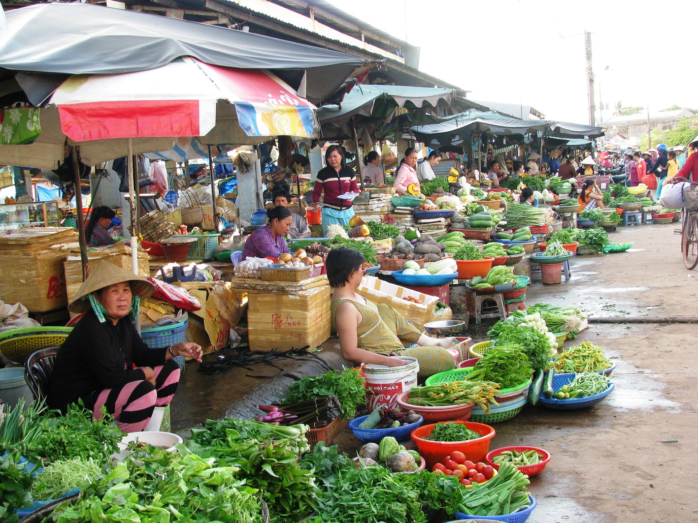 Cette image représente un marché traditionnel en plein air du delta du Mékong, au Vietnam. Des vendeurs locaux sont assis près de leurs étals, proposant une variété de légumes frais tels que des concombres, des tomates, des légumes-feuilles et des herbes aromatiques locales, présentés dans des paniers colorés. Cette scène de marché illustre le mode de vie authentique des habitants et la culture commerciale dynamique typique des marchés ruraux du sud du Vietnam. La visite de ces marchés permet aux voyageurs de découvrir le quotidien, les produits frais et l'atmosphère unique du delta du Mékong.