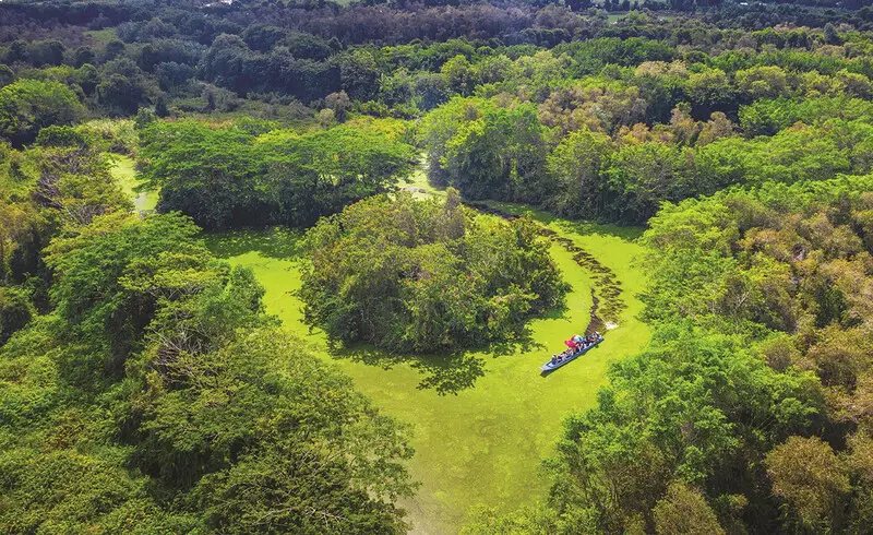 Réserve naturelle de Lung Ngoc Hoang: Le poumon vert du delta du Mékong