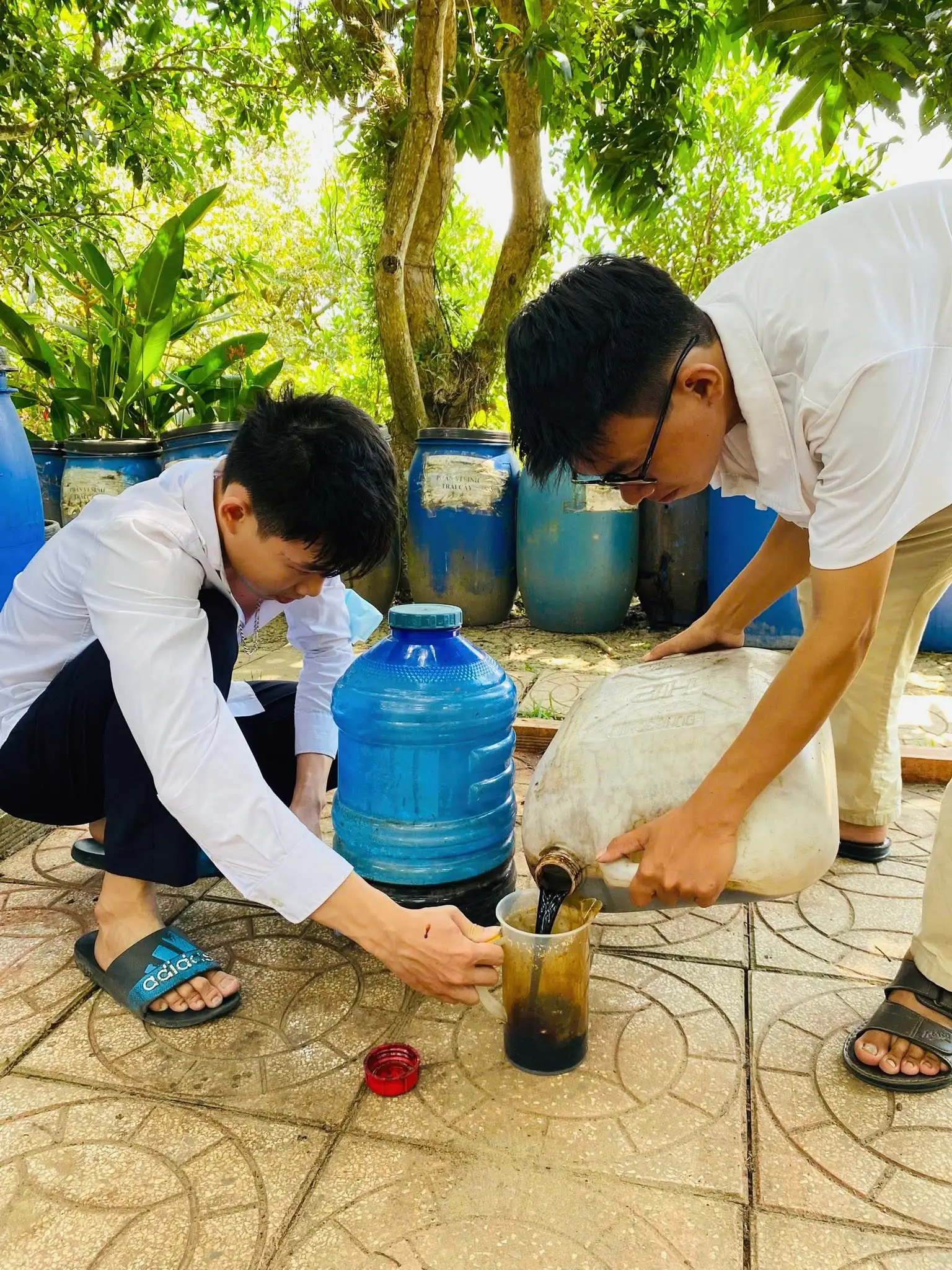 Tourisme vert à Can Tho: Découvrez l’agriculture durable au village de Truong Long
