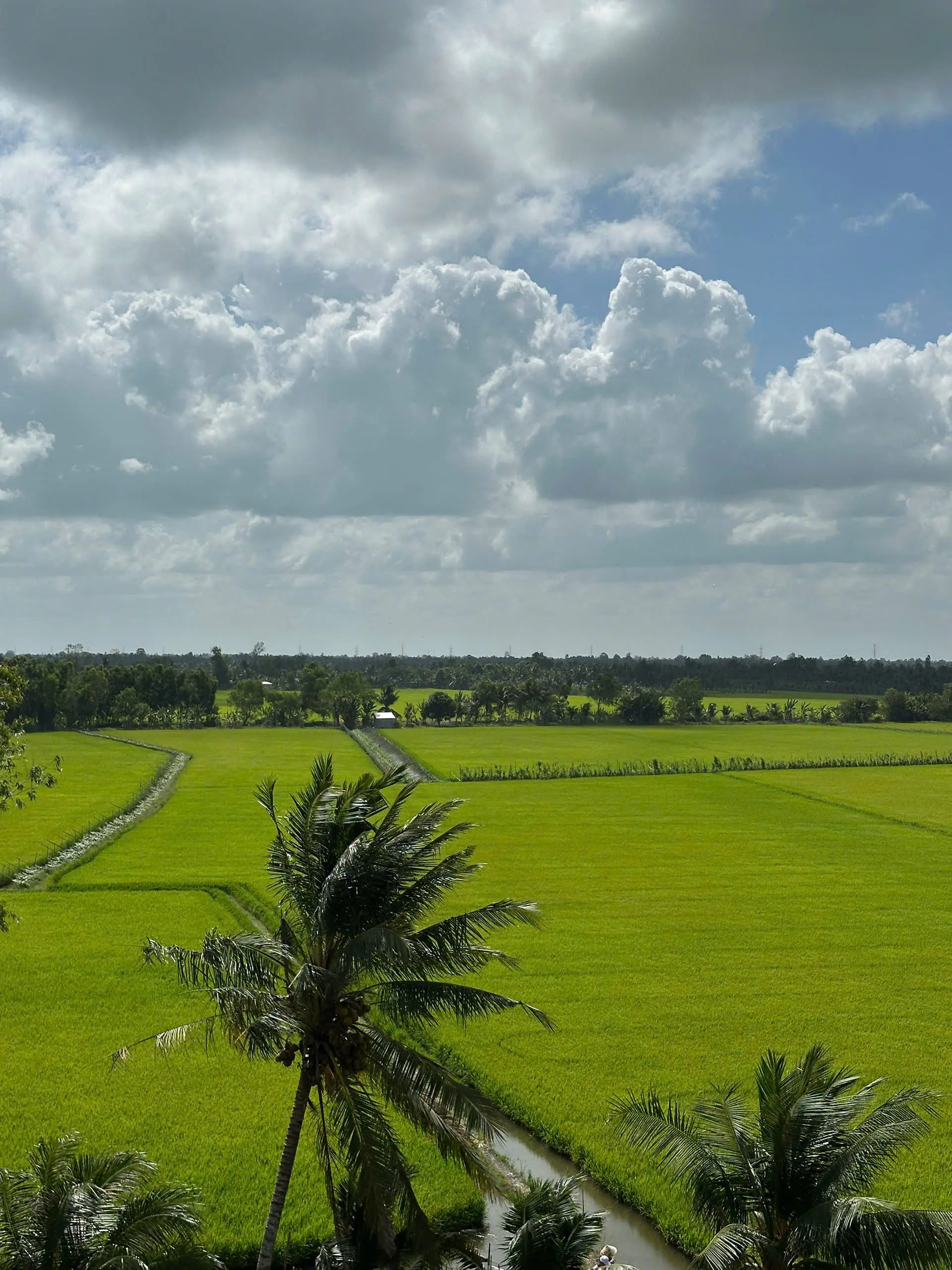 Lung Ngoc Hoang Nature Reserve: Mekong Delta’s Green Lung