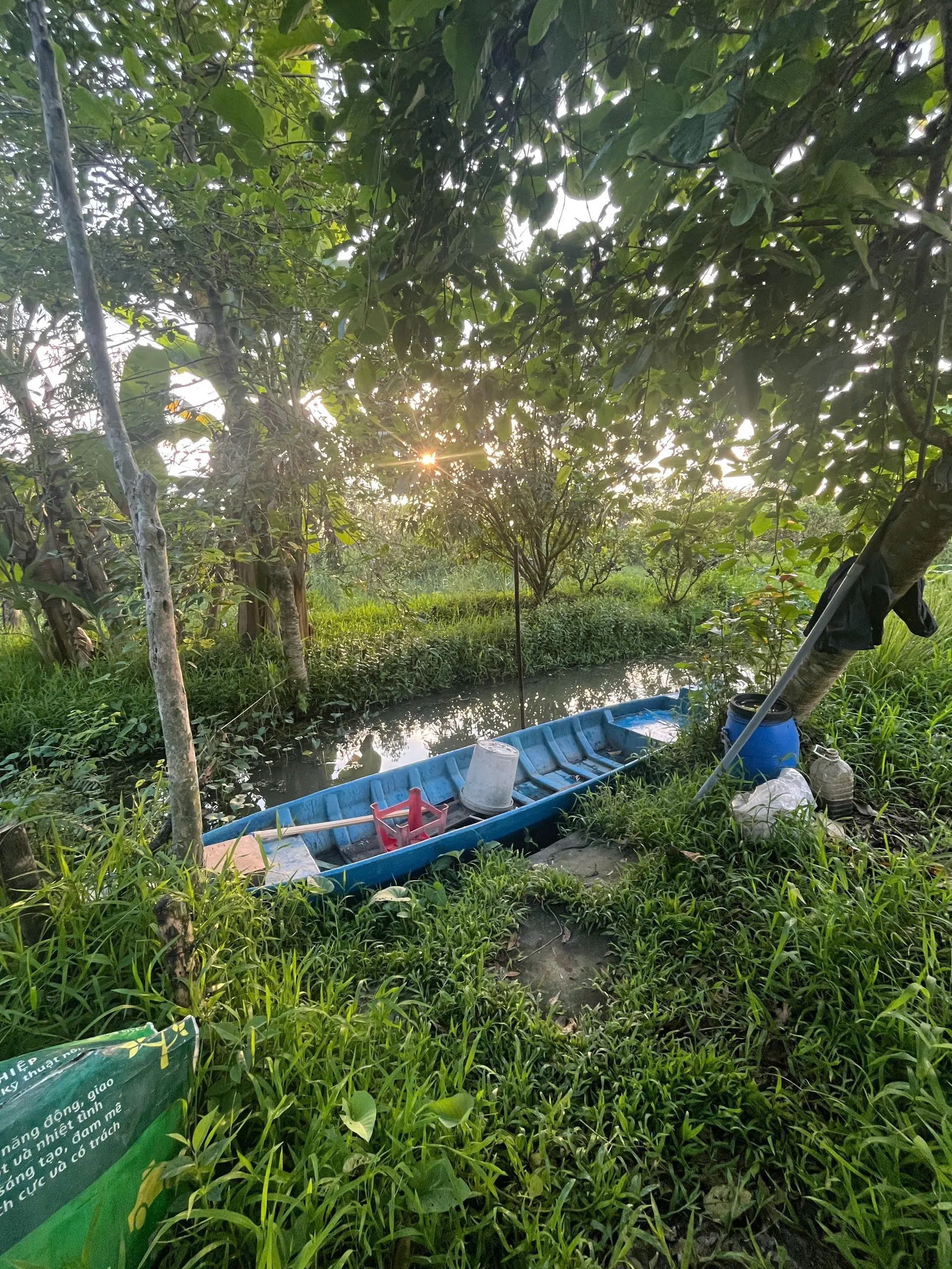 Tourisme vert à Can Tho: Découvrez l’agriculture durable au village de Truong Long