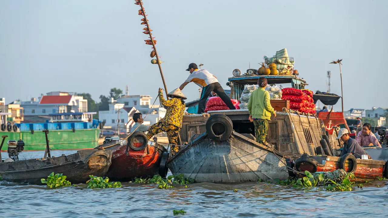 This image captures the vibrant daily life at a floating market in the Mekong Delta, where local traders gather on boats to buy and sell fresh fruits, vegetables, and regional specialties. The scene showcases traditional river-based commerce, with boats loaded with colorful produce and vendors using long poles to display their goods. Floating markets near Can Tho, such as Cai Rang Floating Market, are among the most iconic cultural experiences in southern Vietnam, offering visitors a unique glimpse into the local lifestyle and the importance of waterways in the Mekong Delta economy.