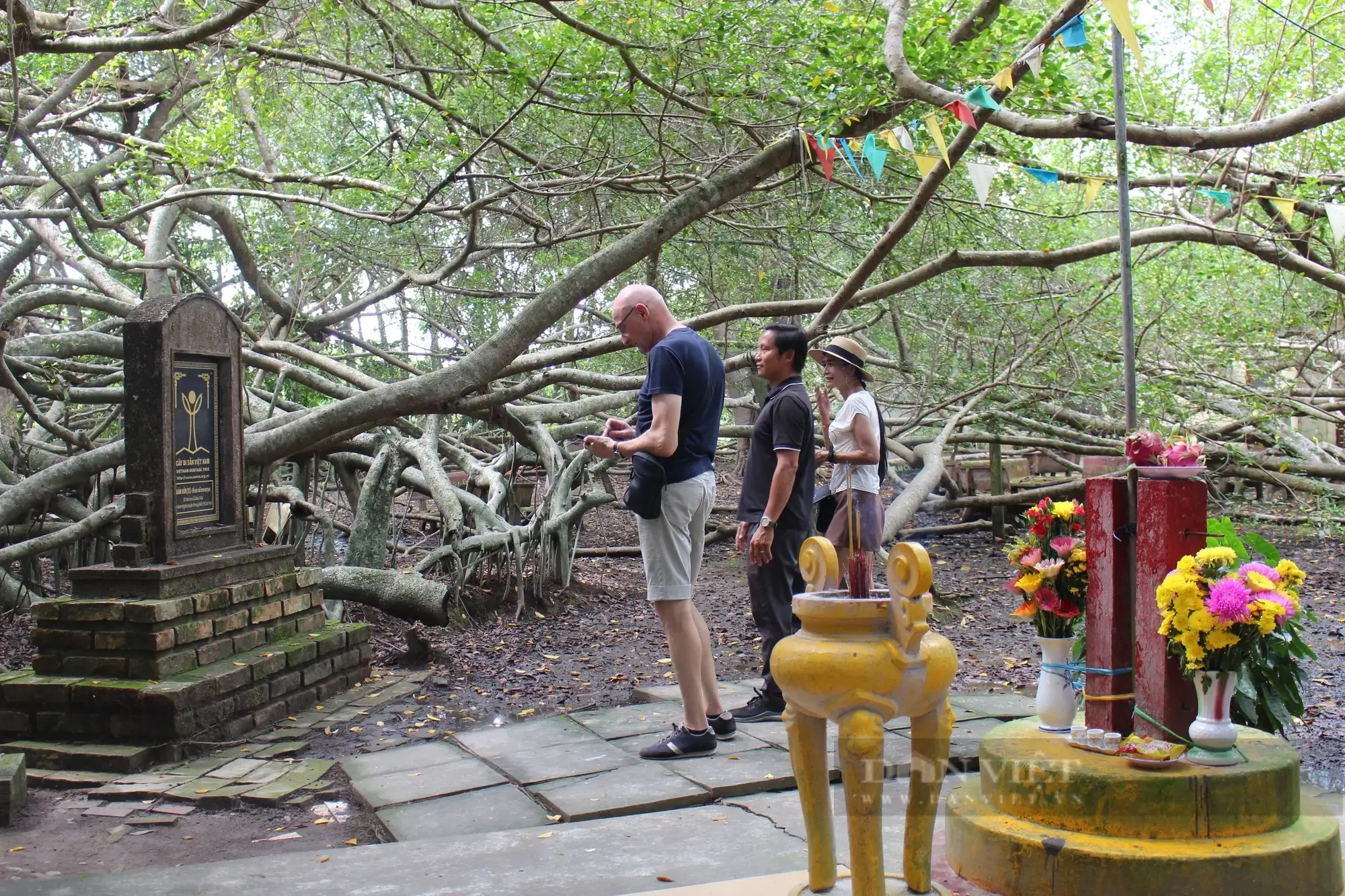 Explorez le patrimoine spirituel et culturel du sanctuaire de l'arbre de Gia Gua, un site sacré unique niché au cœur d'une forêt d'arbres centenaires entrelacés dans le delta du Mékong. Les visiteurs peuvent s'immerger dans les croyances locales, offrir de l'encens et admirer l'atmosphère mystique de ce joyau caché de Can Tho – une étape incontournable pour ceux qui recherchent des expériences culturelles authentiques dans le sud du Vietnam.