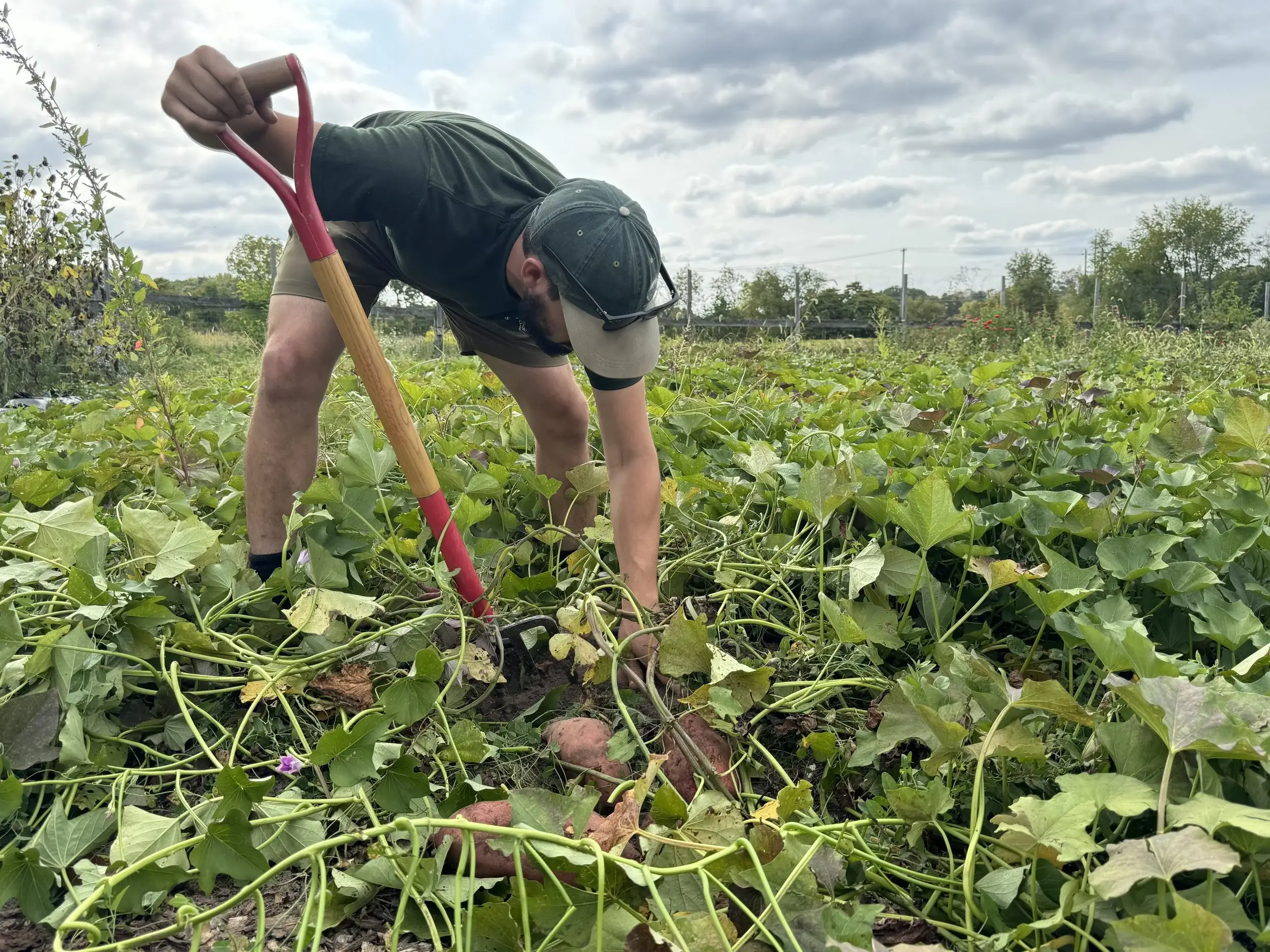 Tourisme vert à Can Tho: Découvrez l’agriculture durable au village de Truong Long
