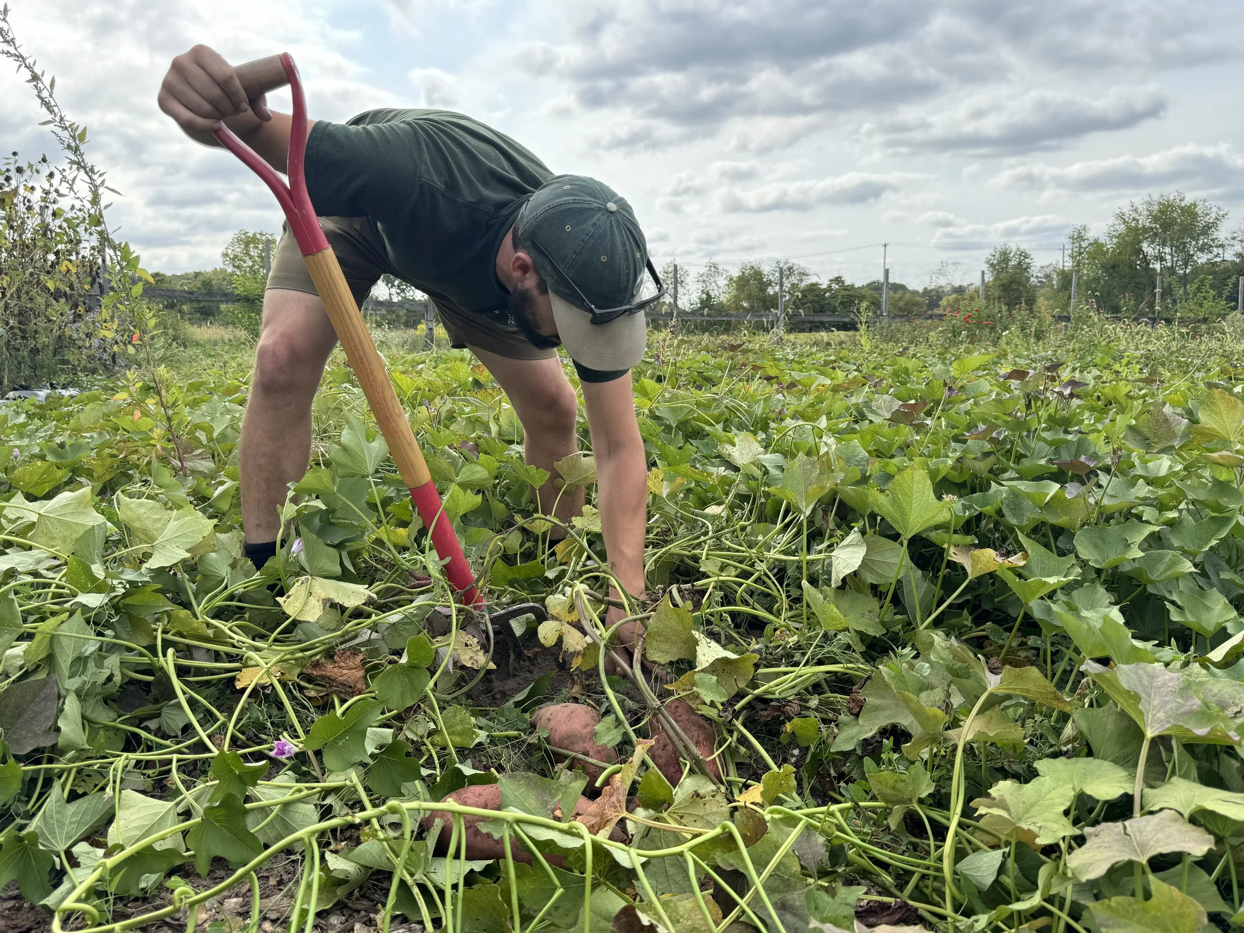 Green Tourism in Can Tho: Experience Sustainable Farming at Truong Long Village