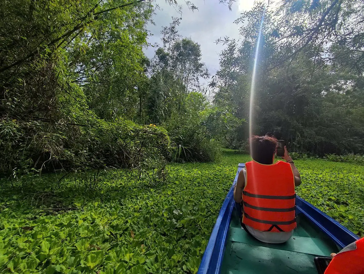 Lung Ngoc Hoang Nature Reserve: Mekong Delta’s Green Lung