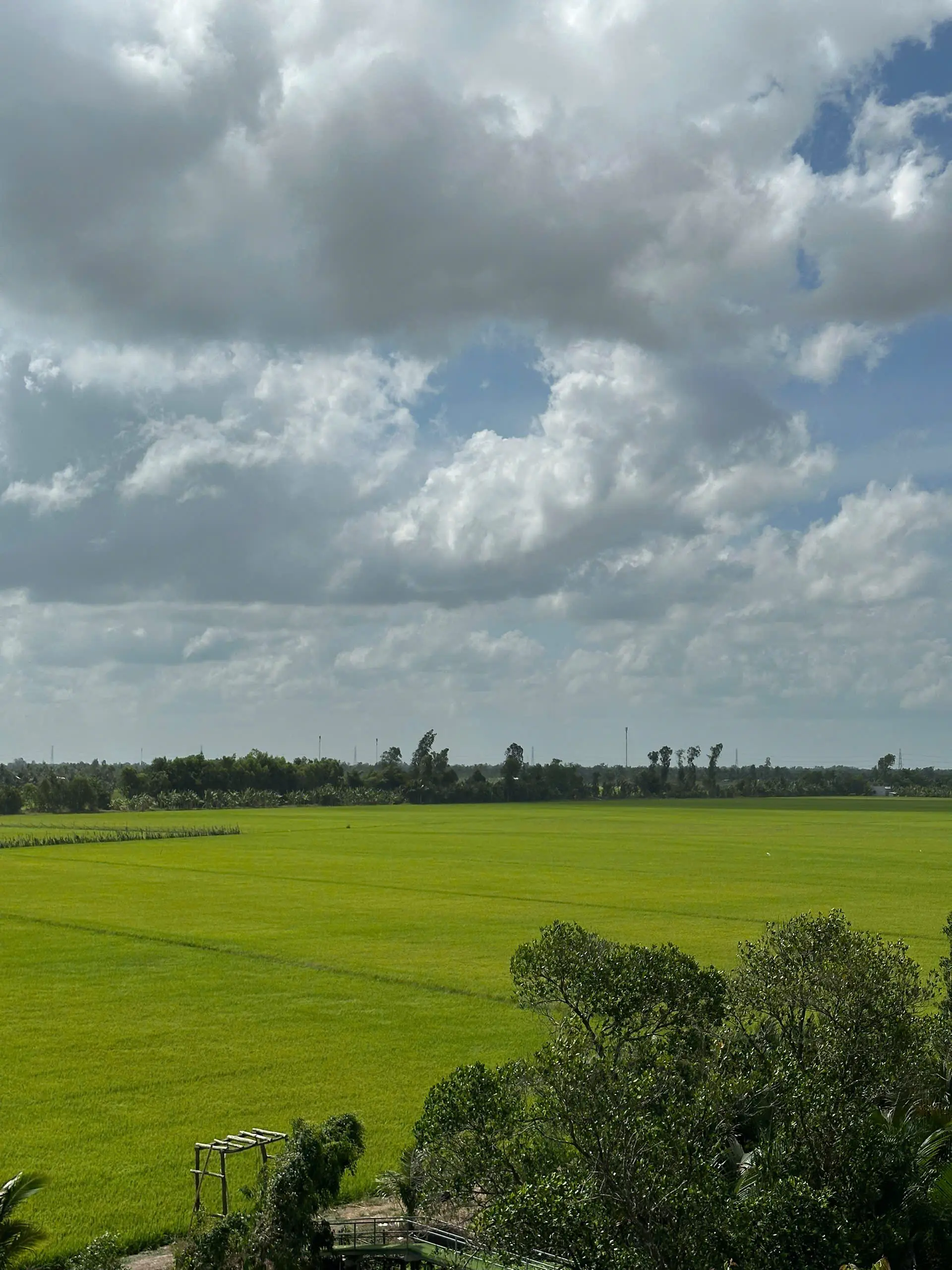 Lung Ngoc Hoang Nature Reserve: Mekong Delta’s Green Lung