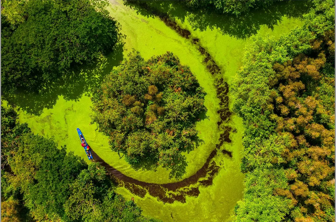 Lung Ngoc Hoang Nature Reserve: Mekong Delta’s Green Lung