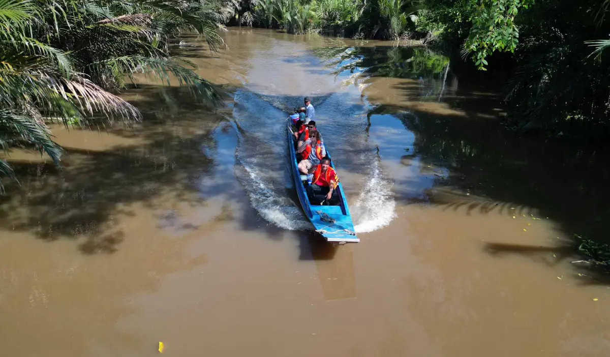 Small Canals in Can Tho: Peaceful Sampan Boat Ride