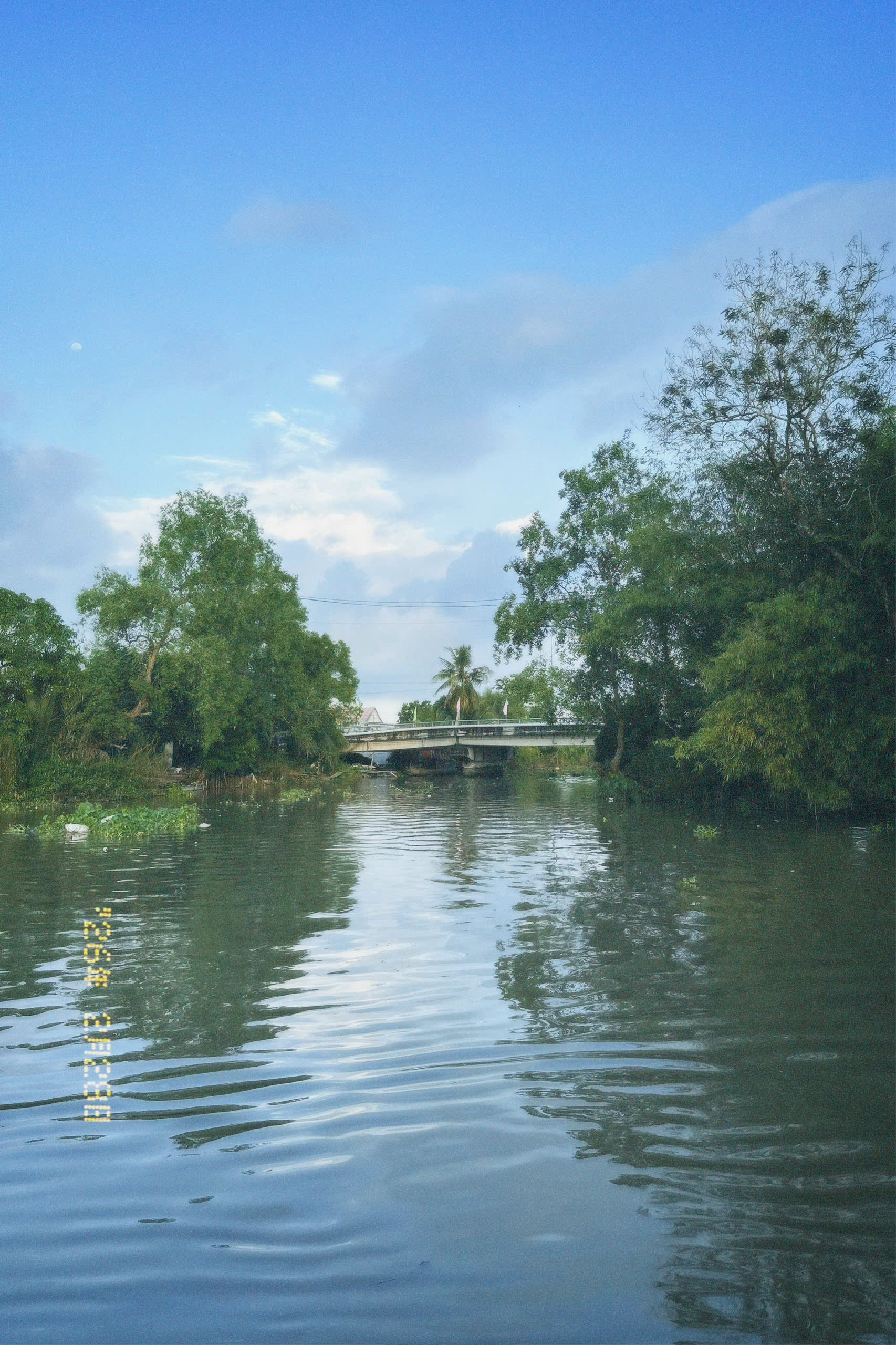 Green Tourism in Can Tho: Experience Sustainable Farming at Truong Long Village
