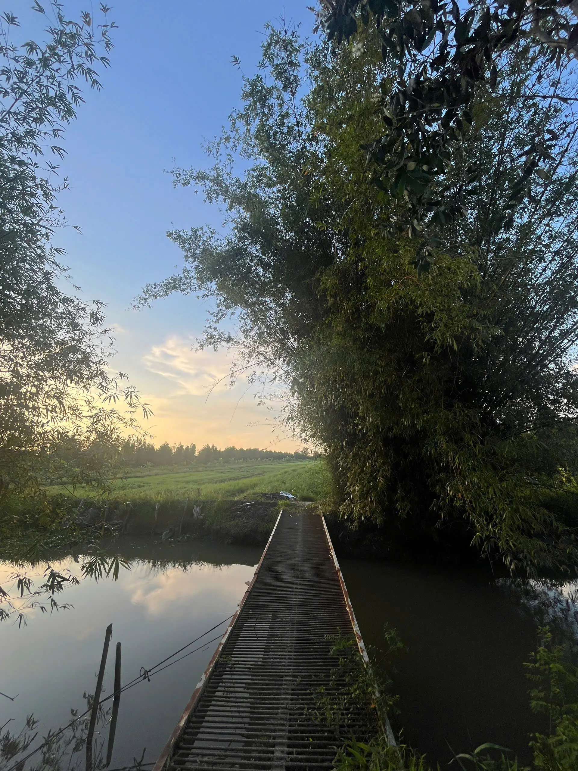 Tourisme vert à Can Tho: Découvrez l’agriculture durable au village de Truong Long