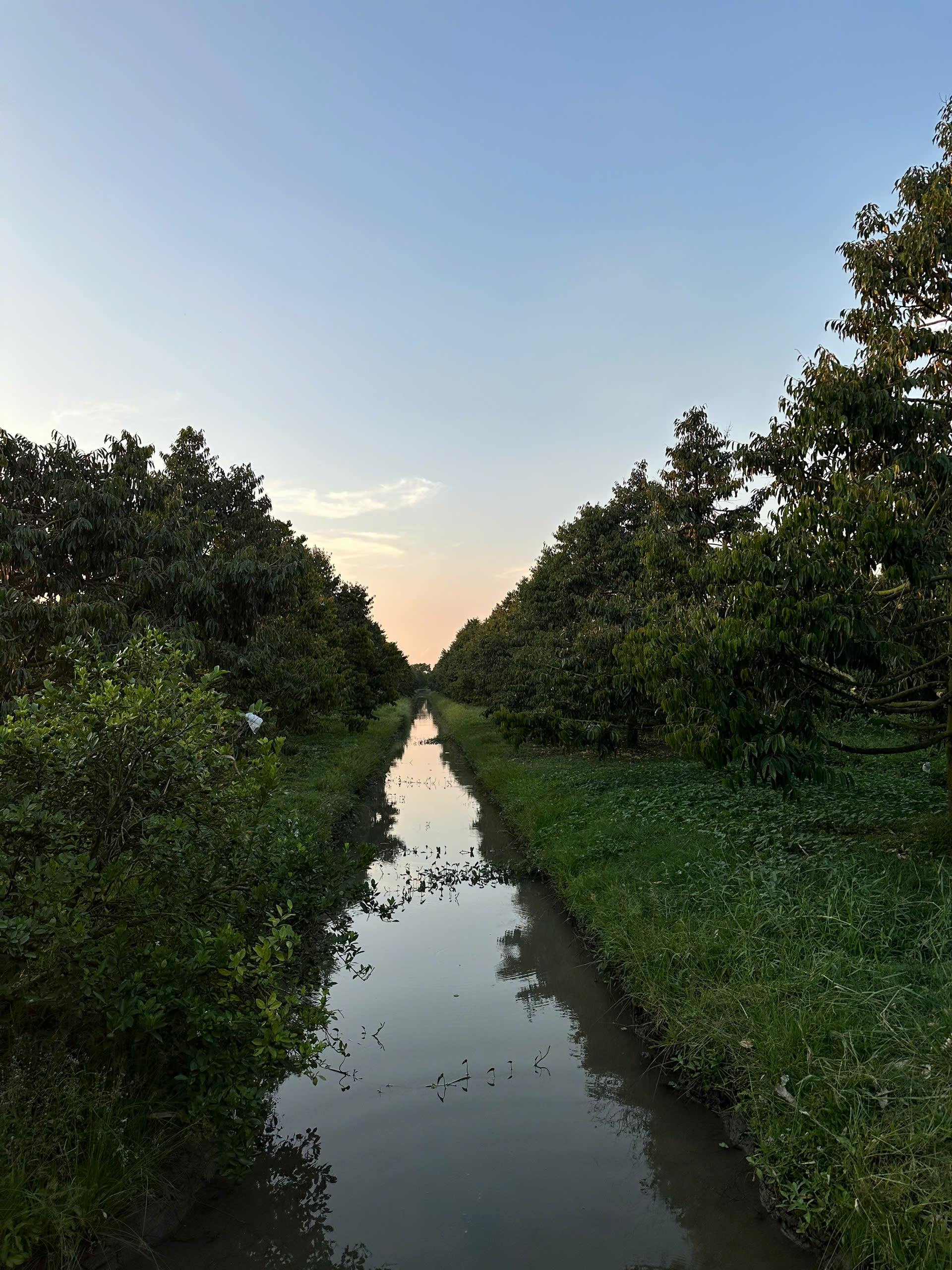 Tourisme vert à Can Tho: Découvrez l’agriculture durable au village de Truong Long