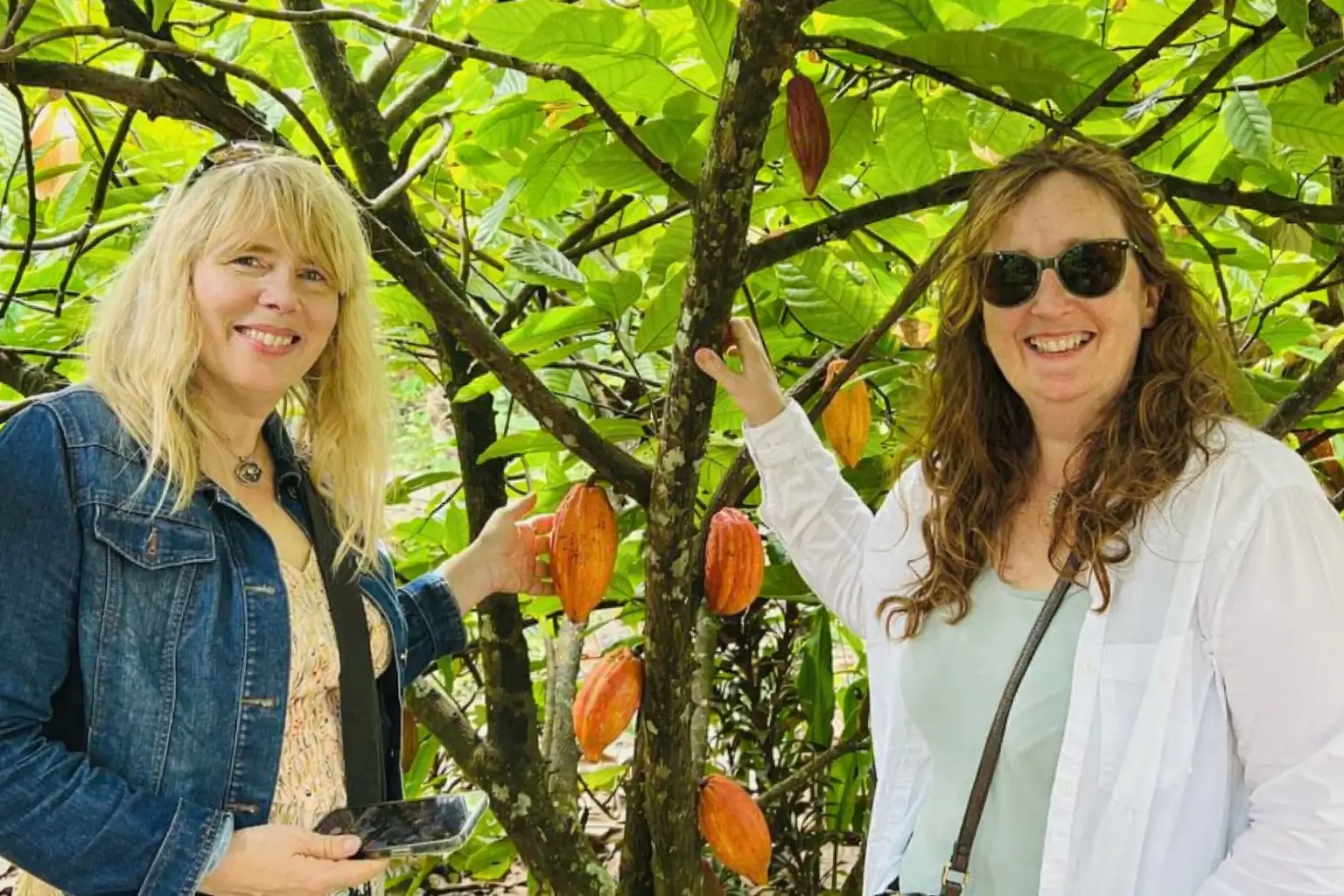 Experience a visit to an organic cacao farm in Can Tho, located in the lush Mekong Delta. Travelers can discover how cacao grows, see ripe pods on the trees, and learn about traditional chocolate-making processes. This eco-friendly activity offers a unique insight into local agriculture and sustainable farming in southern Vietnam.