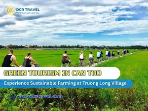 Green Tourism in Can Tho: Experience Sustainable Farming at Truong Long Village