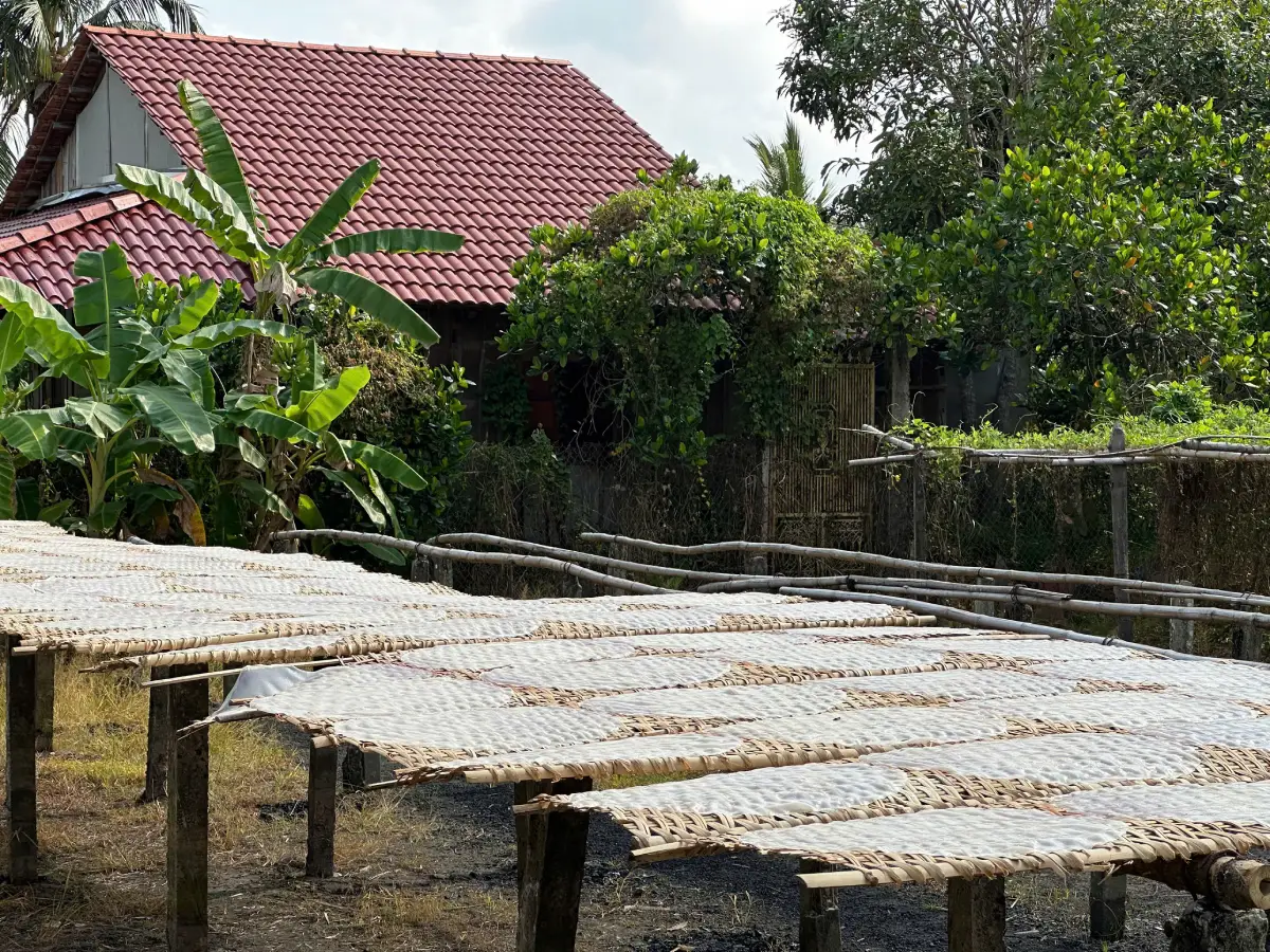 Visit a traditional rice noodle workshop in the Mekong Delta and discover how locals make handmade rice noodles using age-old techniques. Experience authentic rural life, local craftsmanship, and the cultural heritage of southern Vietnam.