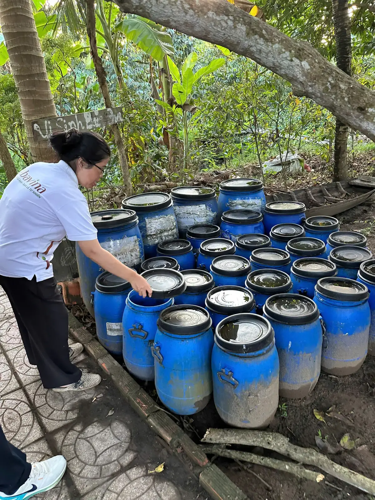 Tourisme vert à Can Tho: Découvrez l’agriculture durable au village de Truong Long