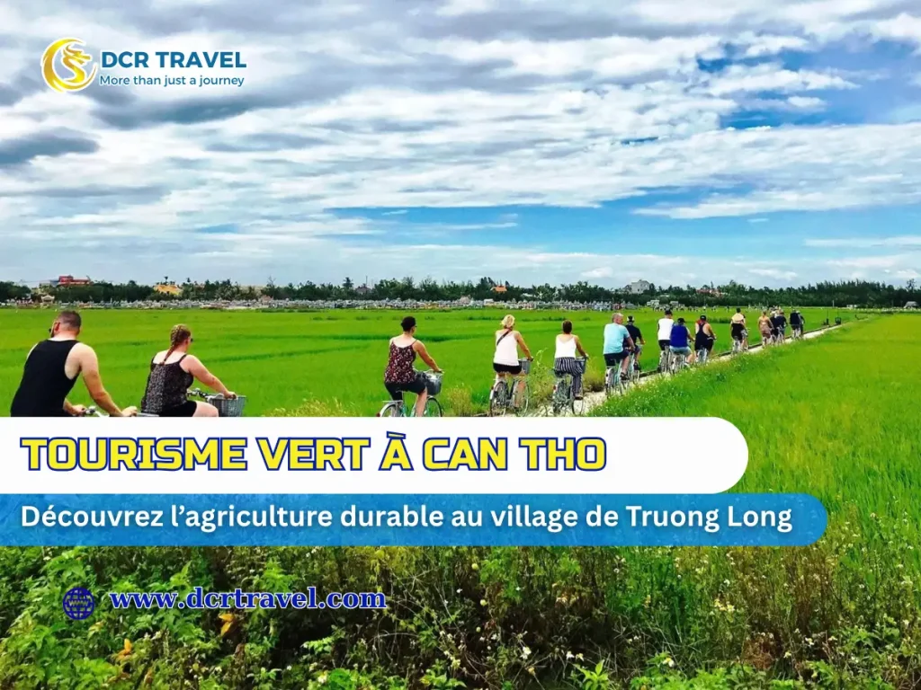 Tourisme vert à Can Tho: Découvrez l’agriculture durable au village de Truong Long