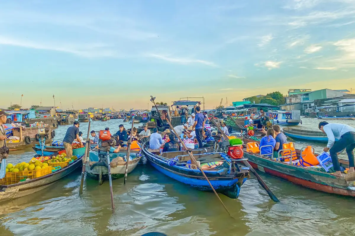 Witness the vibrant energy of Cai Rang Floating Market, the largest floating market in the Mekong Delta. Hundreds of boats gather at sunrise to trade fresh fruits, vegetables, and local products, creating a colorful and authentic scene of river life. This iconic destination offers visitors a unique cultural experience and a glimpse into the traditional trading lifestyle of southern Vietnam.