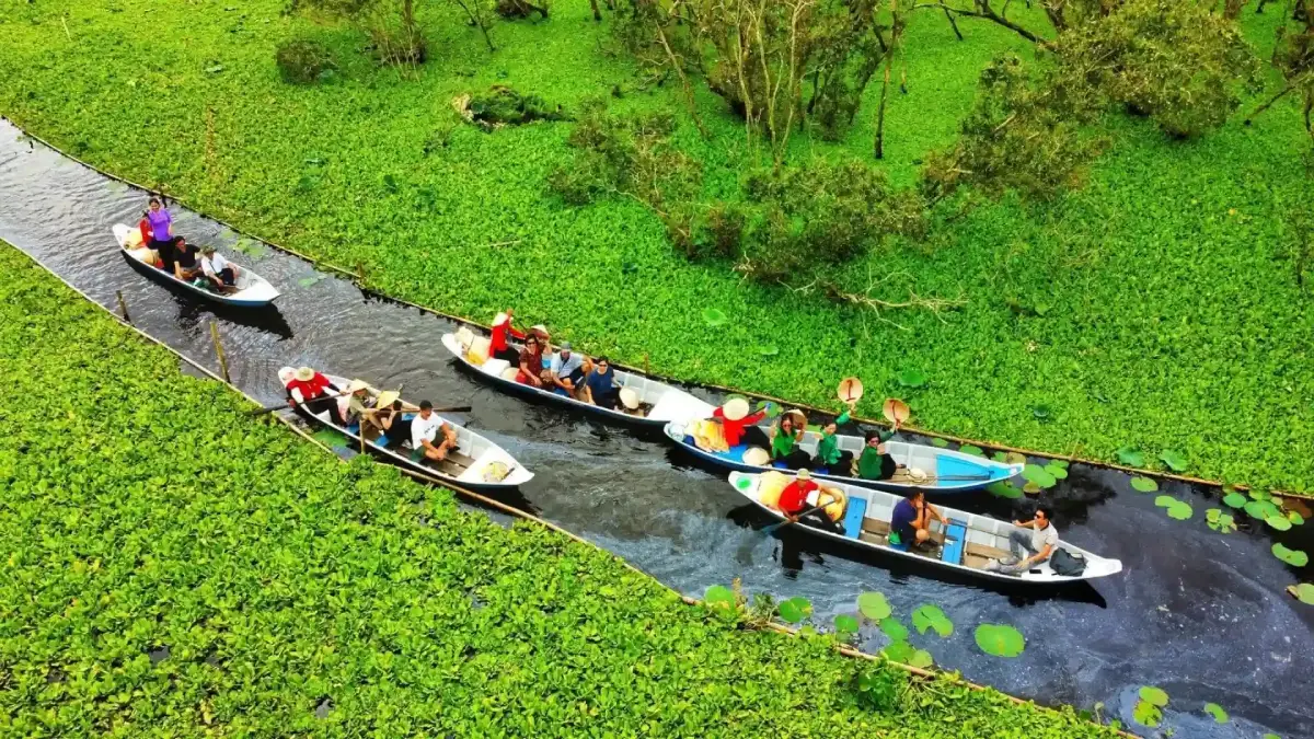 Discover Tra Su Cajuput Forest – one of the most famous eco-tourism destinations in the Mekong Delta. Surrounded by lush greenery and diverse wildlife, visitors can enjoy peaceful boat rides through narrow waterways covered in vibrant green duckweed while experiencing the untouched beauty of An Giang, Vietnam.