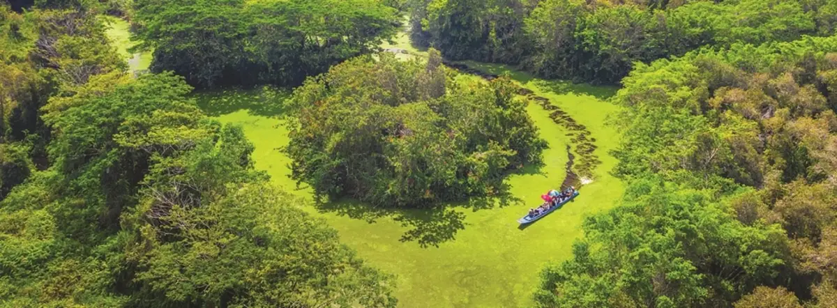 Top Experiences You Can’t Miss When Traveling To Can Tho