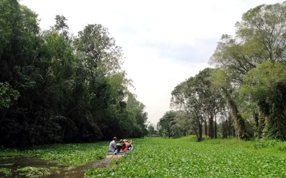 Lung Ngoc Hoang Nature Reserve: Mekong Delta’s Green Lung
