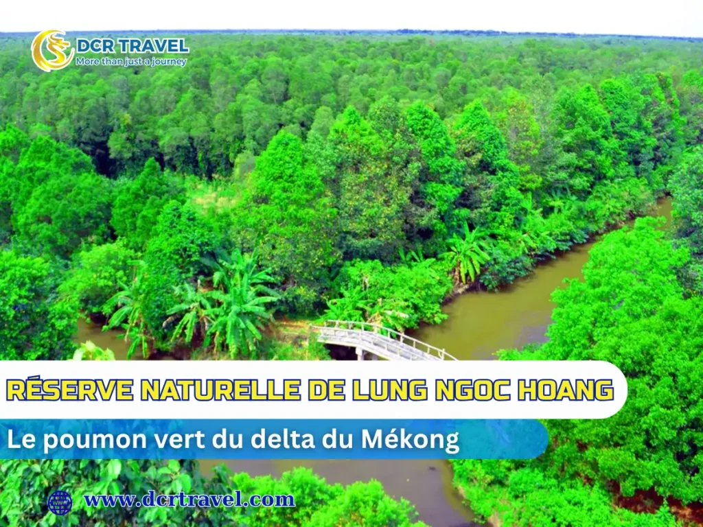 Réserve naturelle de Lung Ngoc Hoang: Le poumon vert du delta du Mékong